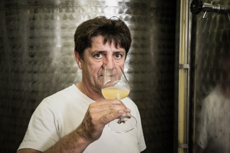 Sauvignon Blanc
